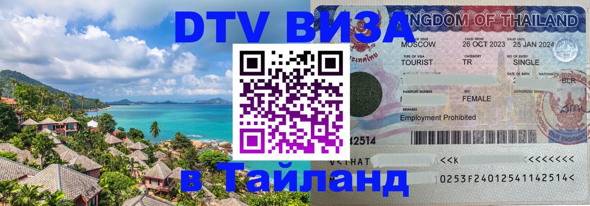 Оформление DTV визы под ключ: стоимость и тарифы, только загранпаспорт - 19.11.2025 